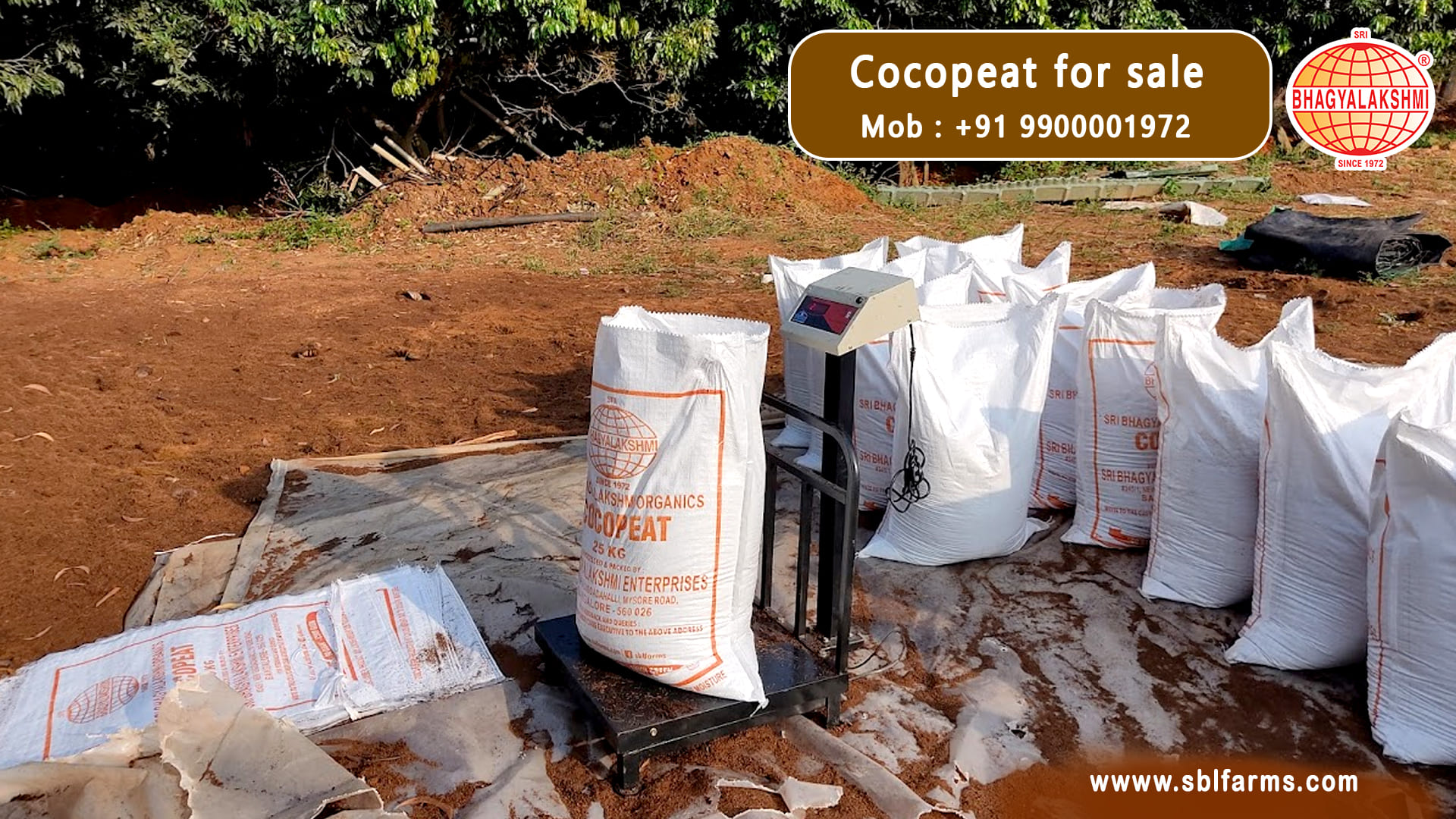 cocopeat manufacturers in Karnataka,  Coco Peat Manufacturers & Suppliers in Karnataka, cocopeat dealers, traders, wholesalers, manufacturers & suppliers  in bangalore, Coco Peat Blocks Manufacturer from Bengaluru , coco peat wholesalers in bangalore, India, Coco Peat Manufacturers near me in Bangalore, Coco Peat Wholesale Suppliers and exporters in Bengaluru , Karnataka, Coco Peat Wholesale Suppliers in bangalore, cocopeat in bangalore, cocopeat powder near chamrajpet, bengaluru, coco peat manufacturers in karnataka, Cocopeat wholesale in Bangalore,cocopeat exporters in bangalore,coco peat online bangalore. Cocopeat for sale in bangalore, cocopeat for sale in karnataka.